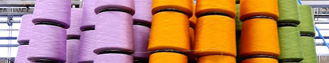 tintoria-maino-525268-1067x206.jpg